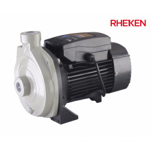 RHEKEN Marque 220V AC Électrique Propre Machine À Eau À Domicile À Haute Pression En Acier Inoxydable Impulseur Pompe Centrifuge